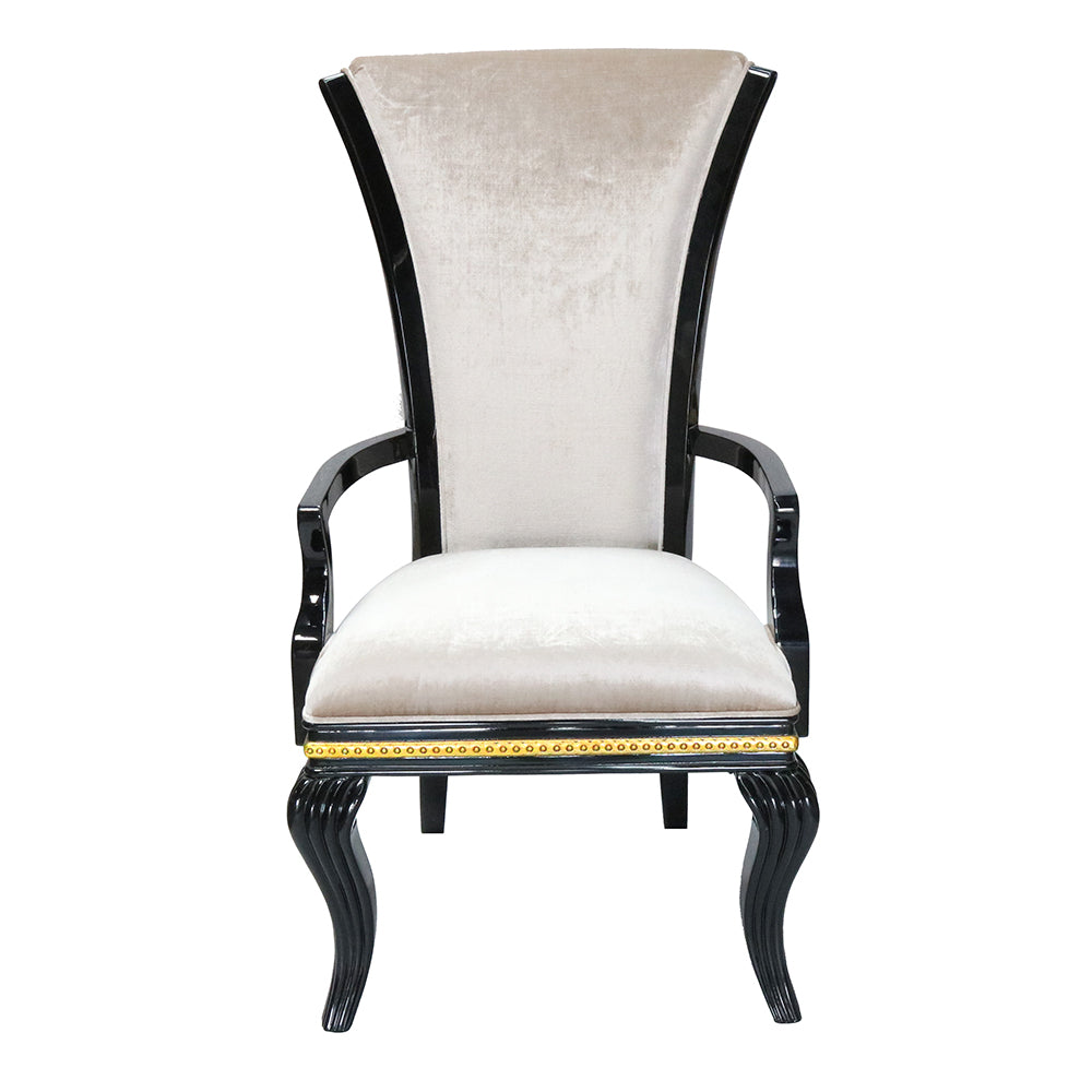 Bio Modern High-Back Armchair