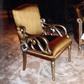 Zoya Transitional Italin Arm Chair Furniture